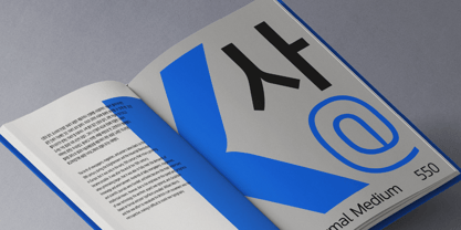 TE Ga Font Poster 10