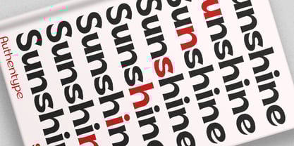 Soncara Font Poster 7