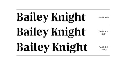 Griggs Serif Font Poster 5