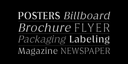 Griggs Serif Font Poster 2