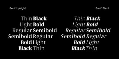 Griggs Serif Font Poster 4