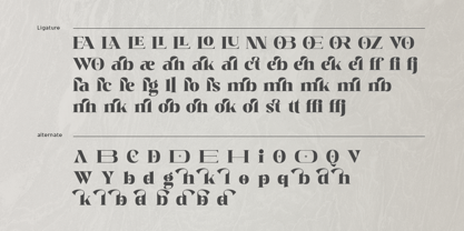 Diella Font Poster 11