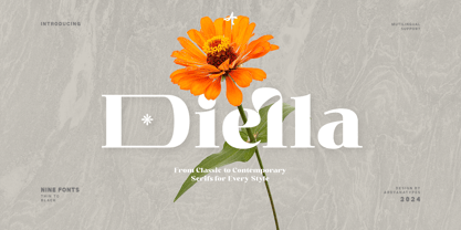 Diella Font Poster 1