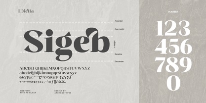 Diella Font Poster 10
