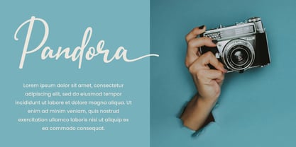 Hadimon Font Poster 8