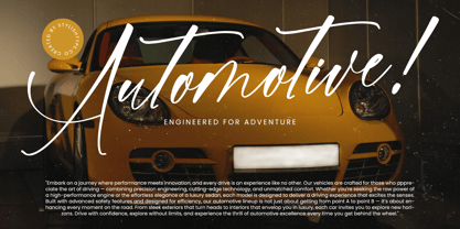 Homestay Nighter Font Poster 8