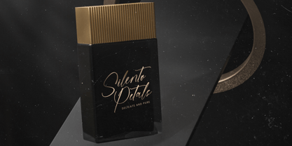 Homestay Nighter Font Poster 11