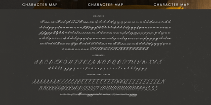 Homestay Nighter Font Poster 15