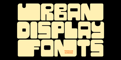 Teenage Sunkies Font Poster 5