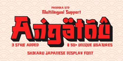 Shikaru Font Poster 9