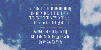 Awesome Shorten Font Poster 14