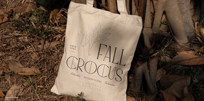 Archine Eamore Font Poster 7