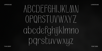 Thania Estrada Font Poster 2