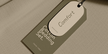 Nouveau Nexus Font Poster 2