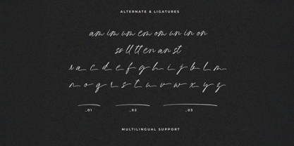 Wicky Orchid Font Poster 3