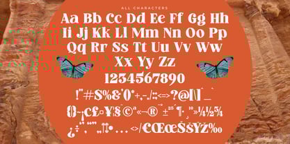 Marble Capital Font Poster 14