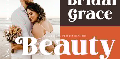 Marble Capital Font Poster 10