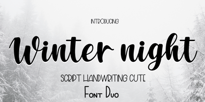 Winter night Font Poster 1