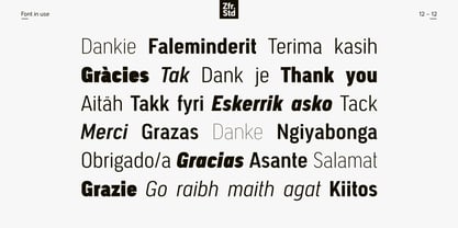 Segovia Narrow Font Poster 12