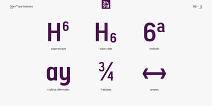 Segovia Narrow Font Poster 8