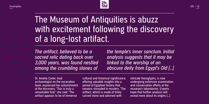 Segovia Narrow Font Poster 5