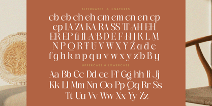 Heqra Font Poster 14