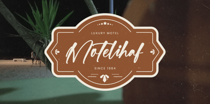 Bartely Cactus Font Poster 6