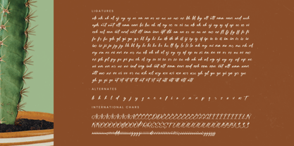 Bartely Cactus Font Poster 15