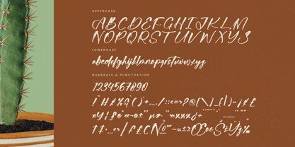 Bartely Cactus Font Poster 14