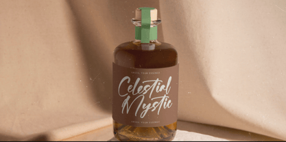 Bartely Cactus Font Poster 10