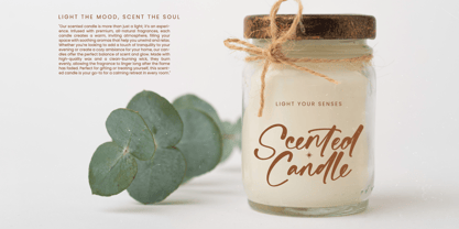 Bartely Cactus Font Poster 4