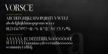 Vorsce Font Poster 15