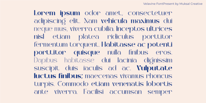 Velavine Font Poster 6