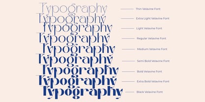 Velavine Font Poster 4