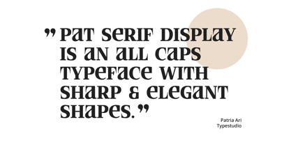 PAT Serif Display Font Poster 2