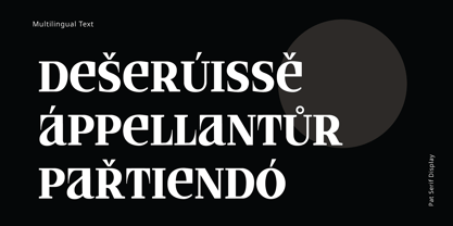 PAT Serif Display Font Poster 3