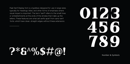 PAT Serif Display Font Poster 4