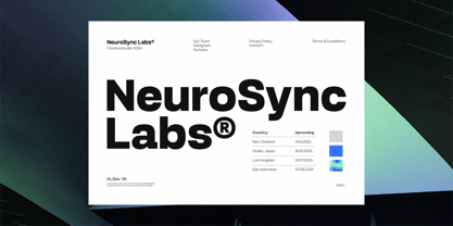 Robout Font Poster 5