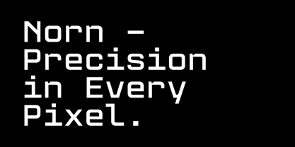 Norn Mono Font Poster 5