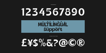 Black Rolmer Font Poster 12