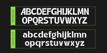 Black Rolmer Font Poster 8