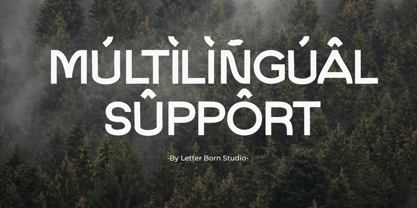 Denalize Font Poster 10