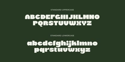 Trufter Font Poster 3