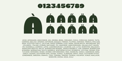 Trufter Font Poster 6