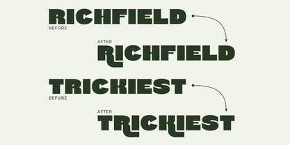 Trufter Font Poster 9