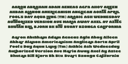 Trufter Font Poster 4