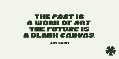 Trufter Font Poster 7