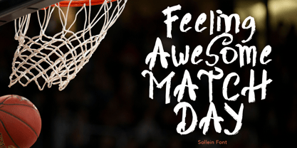 Sollein Font Poster 8