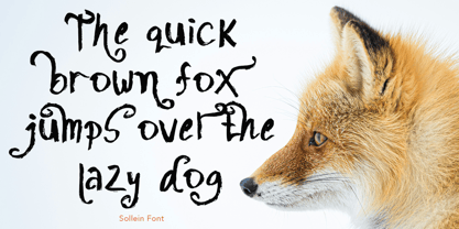 Sollein Font Poster 3