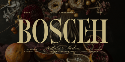 Bosceh Font Poster 1